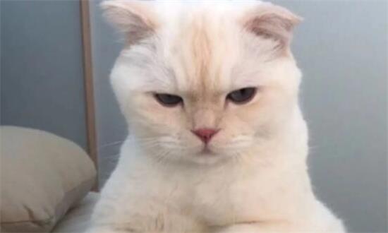 è���Ѫ�ǻ������鴤��