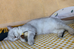 è���˿�����ʲôҩ����