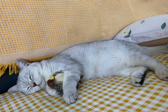 è���˿�����ʲôҩ����