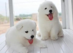 �������˳�θ����ô�죿