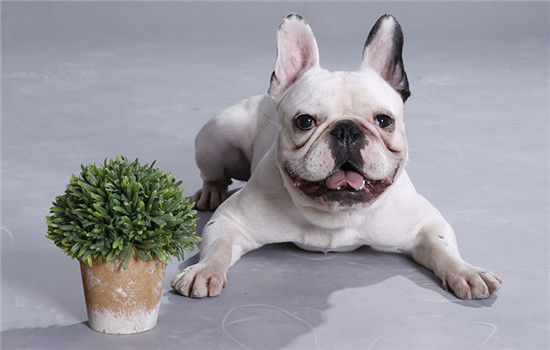 ��������ɫϡ����ô��