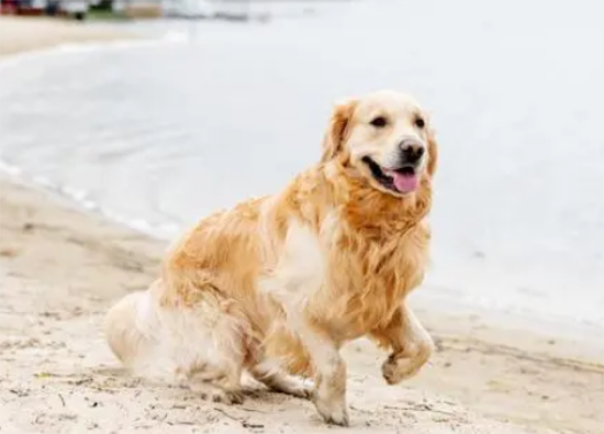 ����ë����˳������