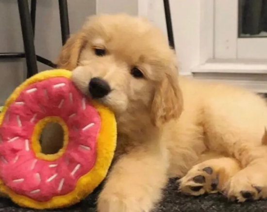 �����ëȮ�ǲ��ǲ���