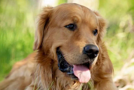 �����ëһ��Զ��ٹ���