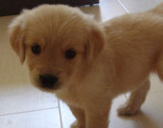 �ճ����Ľ�ë��Ȯ��ôι��