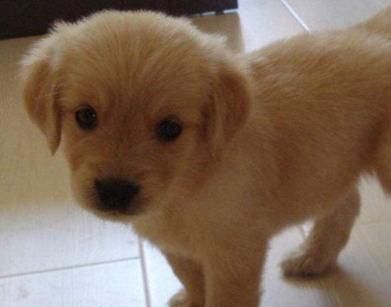 �ճ����Ľ�ë��Ȯ��ôι��