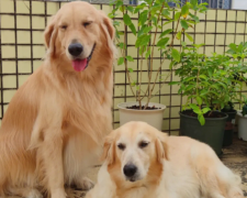 �����ë���ٽ�