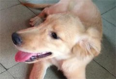 ��ëΪʲô�е�ͷ���е�ͷС