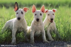 ι����Ȯ��ע������