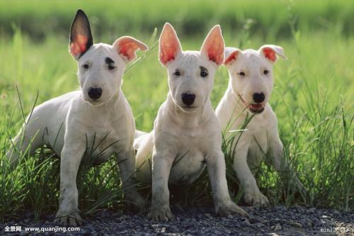 ι����Ȯ��ע������