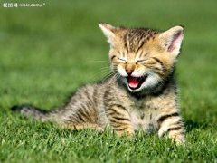 ��èҪע��Щʲô?