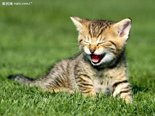 ��èҪע��Щʲô?