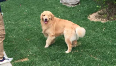 ��ë����������ι����������