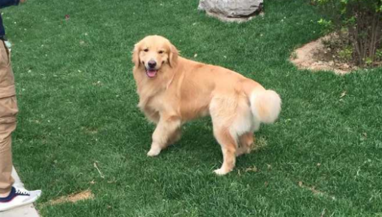 ��ë����������ι����������