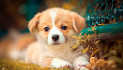 ����Ƶ�������Ǹ�ð����Ȯ�ѿ�