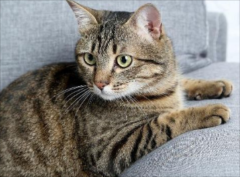 �й��껨è���Ը���ô��?