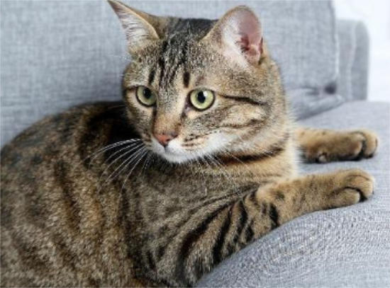 �й��껨è���Ը���ô��?