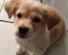 ��ë�������Ĵ���ͼƬ