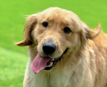 ��ô����ë���������߸��������ɸѡ