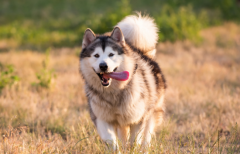 ������ǻһ��һ�������ô������