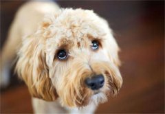 �����յ����Ʒ���