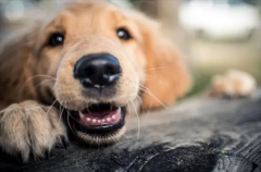 �����ڻ��������ʱ��Ӧ��ע�������