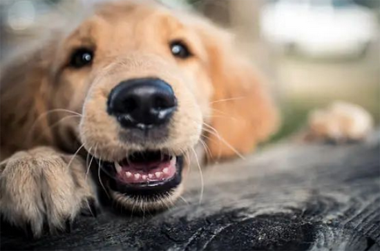 �����ڻ��������ʱ��Ӧ��ע�������