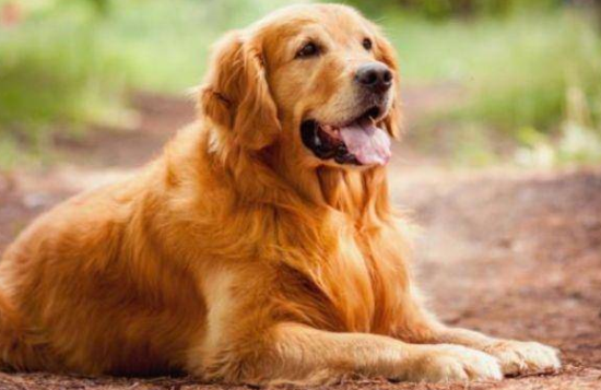 ��ũ������ë���ʲ�����