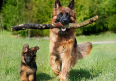 ��������������ʲôҩ