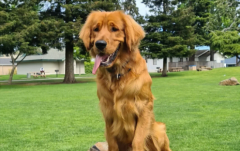 ��ë������乷����è���أ�