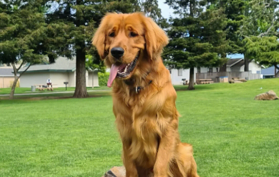 ��ë������乷����è���أ�