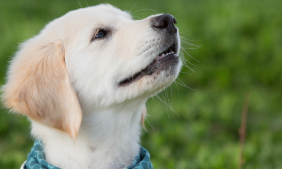 ��ʪ��������������ʲô