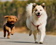 ����ͷ���л�ŧ�˿ڸ���ô��