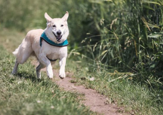 ��������������һ���������δ���