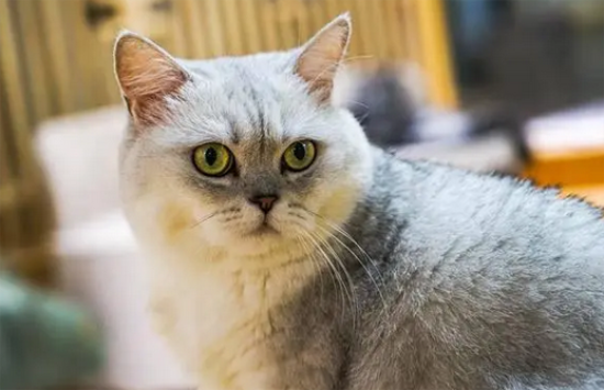 ������è�Ը�����?