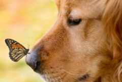 ��ë���Գ��˳Եķ�����