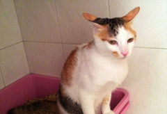 ������è��������ˮ?