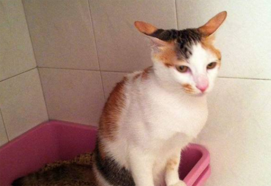 ������è��������ˮ?