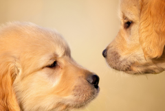 ��ë�����¿�ʼ�ͳ�����