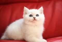 è��Ϊʲôϲ�������յĿռ�?