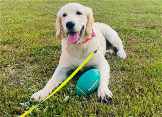 ûǮ��ô������ë