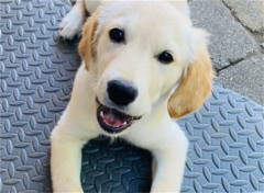 ��ë��Ե�10��ʳ��