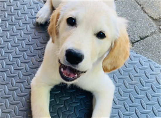 ��ë��Ե�10��ʳ��