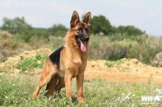 �¹�����Ȯ����������Щ