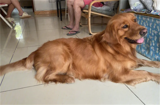 ũ��һ��ι��ë��ʲô