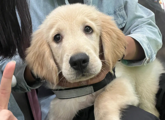 ��ë��������������