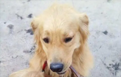 ��ë��ʼ���µı�����ɶ