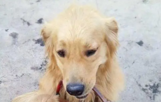 ��ë��ʼ���µı���