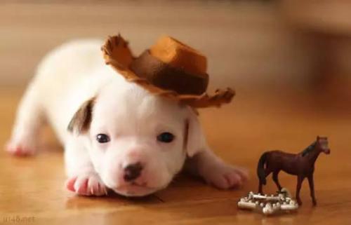 ��������ʺϴ����磿