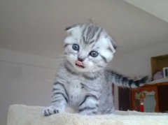 Сè���Ҳ��Բ���Ӧ����ô��?